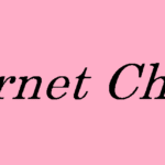 Internet Chicks