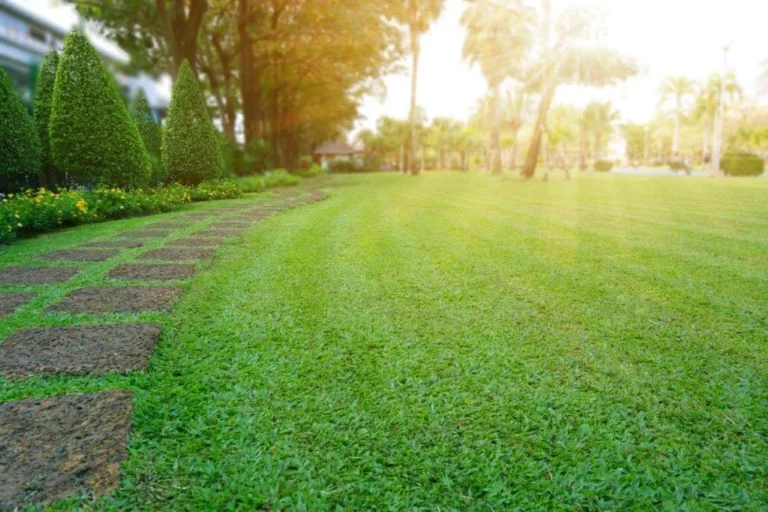 From Cobbitty to Your Backyard: Fresh Turf Grown Local