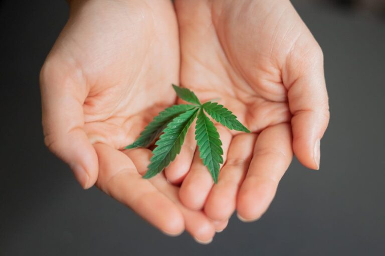 Medicinal Cannabis