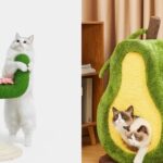 Best Small Cat Tree Guide For Happy Indoor Cats