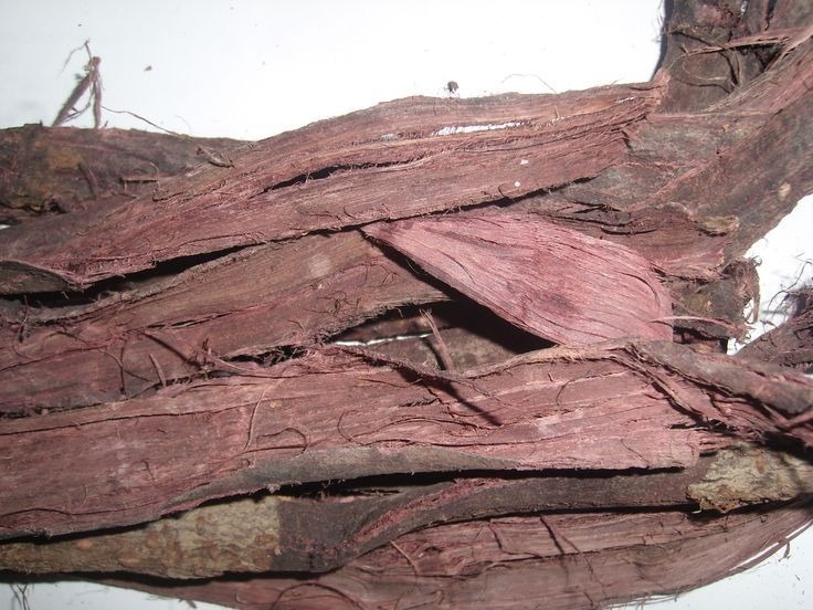 Mimosa Hostilis Root Bark