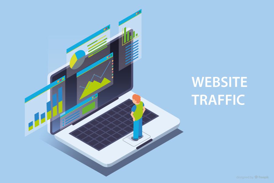 Website Traffic Expert