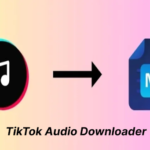 Download TikTok Audio